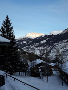 Appartement dans chalet typiquement savoyard au pied des pistes La Norma